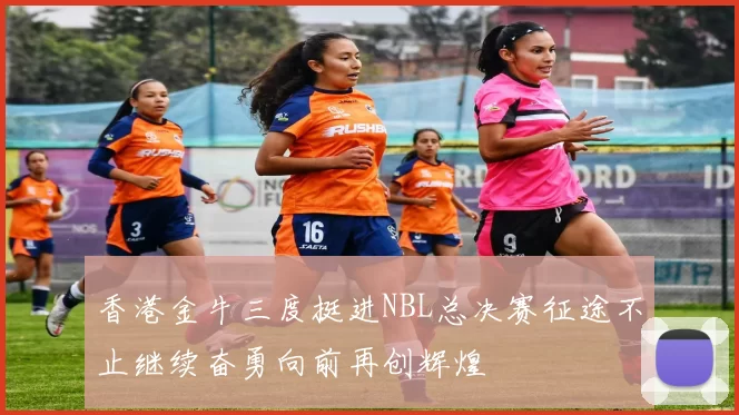 香港金牛三度挺进NBL总决赛征途不止继续奋勇向前再创辉煌